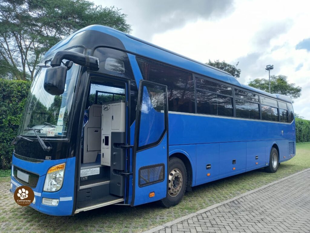 EXECUTIVE LUXURY BUSES (5)